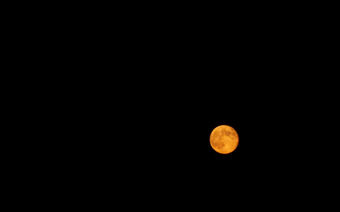 Yes, this was the color of the moon last night.  I